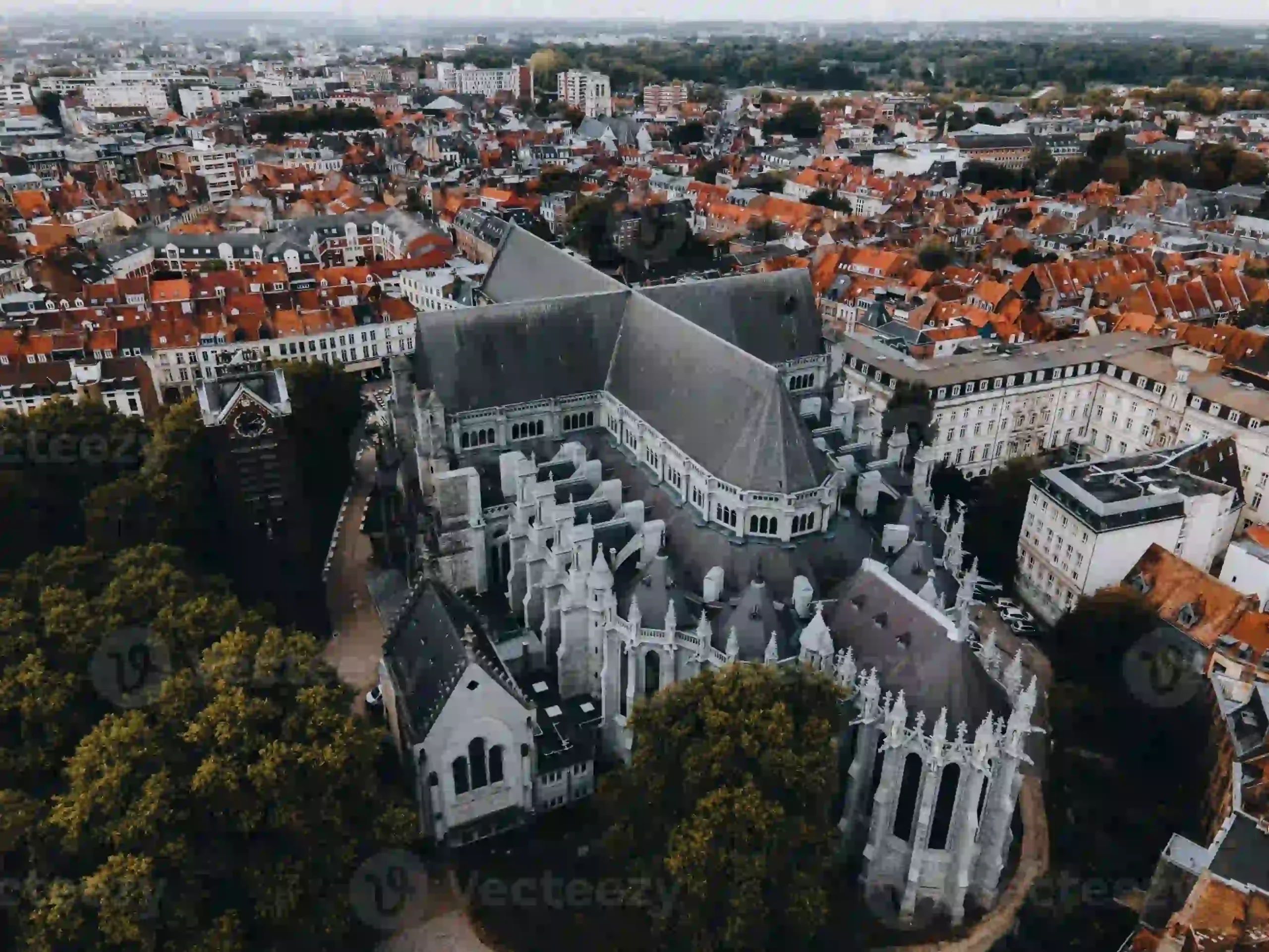 Lille vue du ciel sur la Cathédrale Notre-Dame de la Treille
